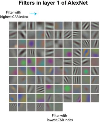 Structural Compression of Convolutional Neural Networks with Applications in Interpretability